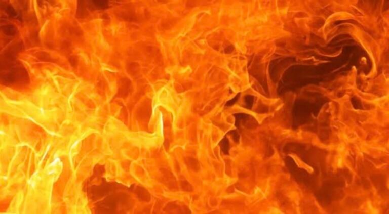 മധുര എൽ.ഐ.സി ഓഫീസിലെ മരണം കൊലപാതകം; ജനറൽ മാനേജറെ സഹപ്രവർത്തകൻ തീകൊളുത്തി കൊന്നത് അധികസമയം ജോലി ചെയ്യേണ്ടിവന്നത് കൊണ്ട്