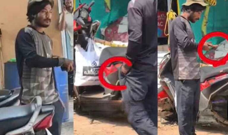 വഴിയെ പോയ പാമ്പിനെ പിടിച്ച് പോക്കറ്റിലിട്ട് അഭ്യാസം; ഒടുവിൽ കടിയേറ്റ് ബോധംകെട്ട് വീണ് യുവാവ്