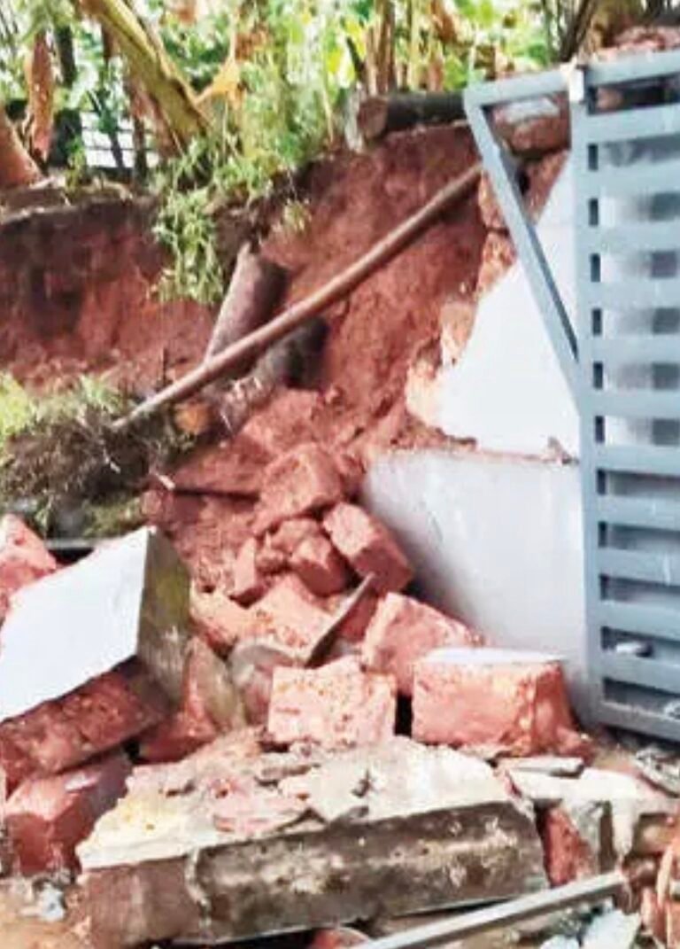 തളിപ്പറമ്പിൽ കനത്ത മഴയിലും കാറ്റിലും വ്യാപക നാശനഷ്ടം; മരങ്ങൾ വീണ് വീടുകൾ തകർന്നു, വൈദ്യുതി ബന്ധം താറുമാറായി