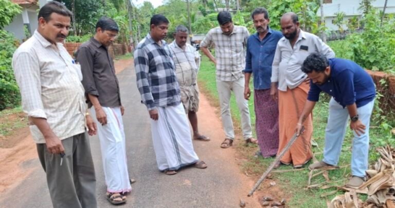 മയ്യിൽ കടൂർ ഒറവയലിൽ ആഫ്രിക്കൻ ഒച്ചുശല്യം രൂക്ഷം; പ്രതിരോധ മാർഗ്ഗങ്ങളുമായി കൃഷിഭവൻ