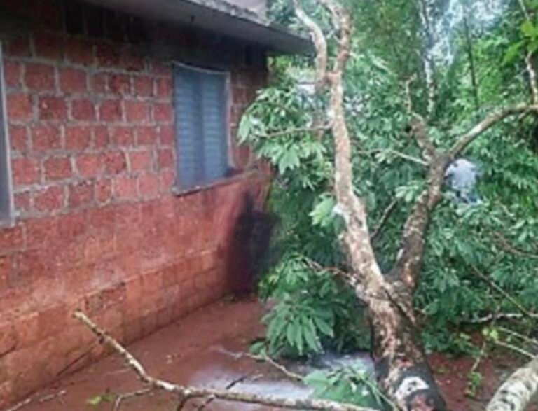 മലപ്പട്ടത്ത് കനത്ത കാറ്റിലും മഴയിലും വ്യാപക നാശം