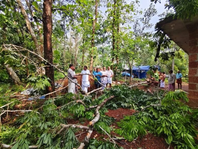 മലപ്പട്ടം അടിച്ചേരിയിൽ ചുഴലിക്കാറ്റിൽ കാർഷിക മേഖലയ്ക്ക് വൻ നാശം; ദുരന്തബാധിത പ്രദേശം സന്ദർശിച്ച് നിയുക്ത എം.എൽ.എ ടി.കെ. ഗോവിന്ദൻ മാസ്റ്റർ